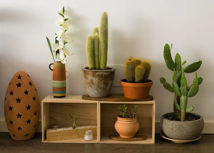 Beautiful One Bedroom Ground Floor - Veraluna